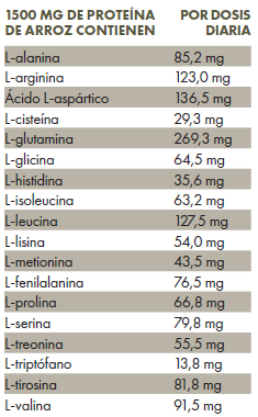 Tabla con valores nutricionales de ZREEN Activador mitocondrial